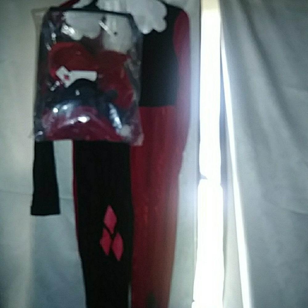 Comic Harley Quinn costume